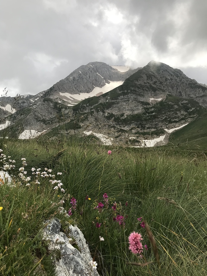 Oshten mountain., Mount Fisht