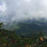 View from the top, Mount Mitchell (North Carolina)