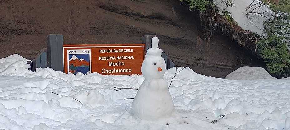 Mono de nieve, Mocho-Choshuenco