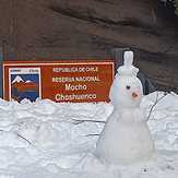 Mono de nieve, Mocho-Choshuenco