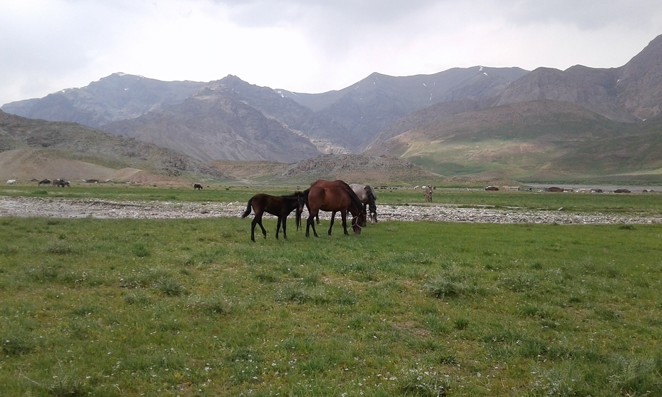 Hiking, Damavand (دماوند)