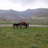 Hiking, Damavand (دماوند)