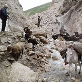 Hiking, Damavand (دماوند)