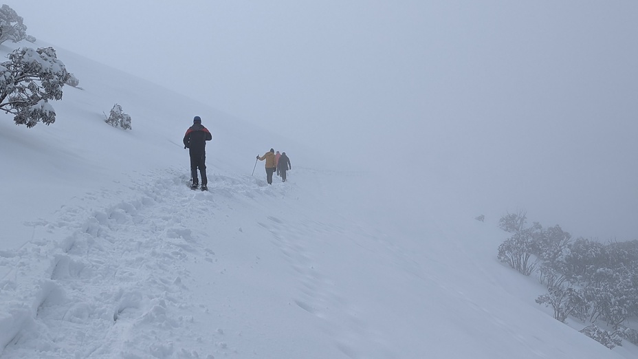 Mt Feathertop, Mount Feathertop