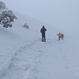 Mt Feathertop, Mount Feathertop