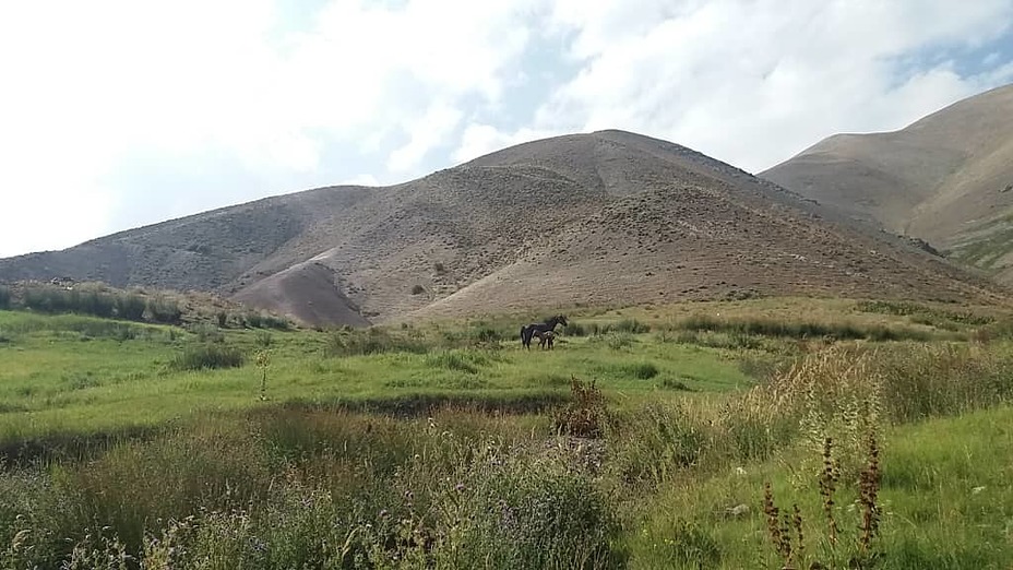 دشت میان رودان, Damavand (دماوند)