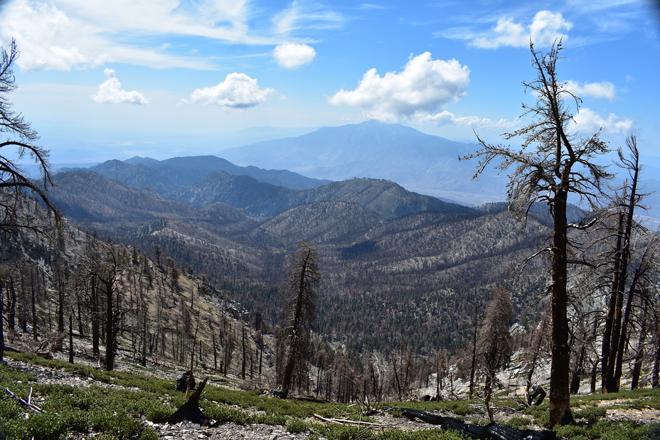 The Burn, San Gorgonio