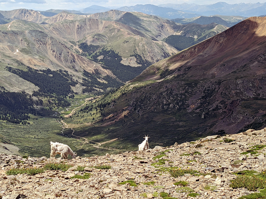 Aries Argentina, Edwards Mountain