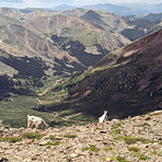 Aries Argentina, Edwards Mountain