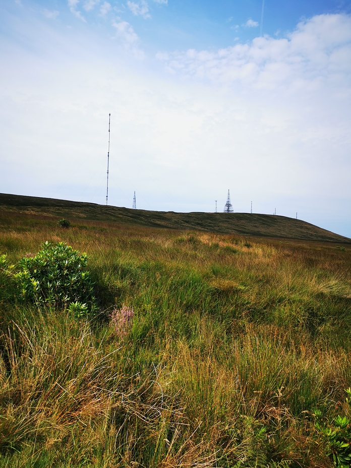 Winter Hill viewed from Grange Brow, Winter Hill (North West England)