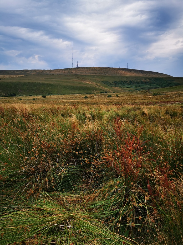 Winter Hill as seen from Hoar Stones Delf, Winter Hill (North West England)