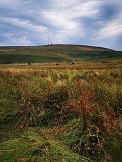 Winter Hill as seen from Hoar Stones Delf, Winter Hill (North West England) photo