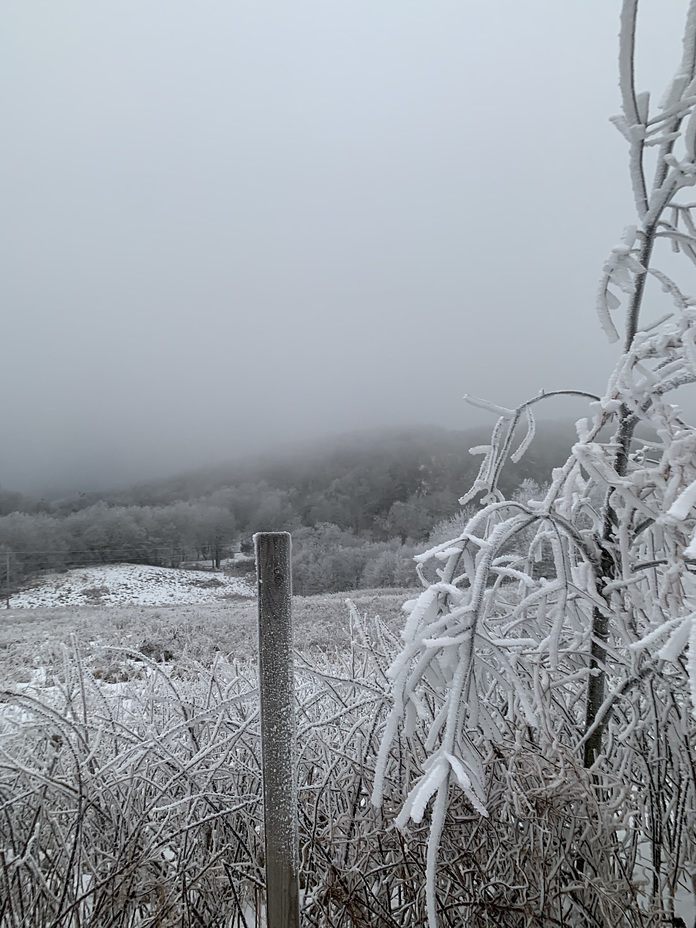 Max patch during snow storm