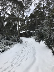 1, Hartz Mountains (Tasmania) photo