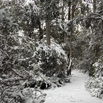 1, Hartz Mountains (Tasmania)