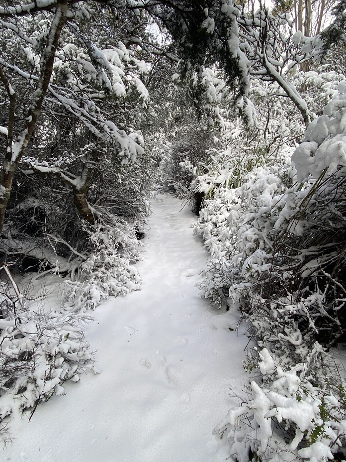 1, Hartz Mountains (Tasmania)