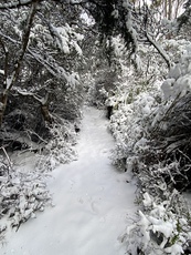 1, Hartz Mountains (Tasmania) photo