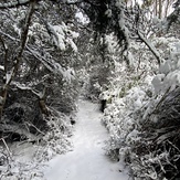 1, Hartz Mountains (Tasmania)