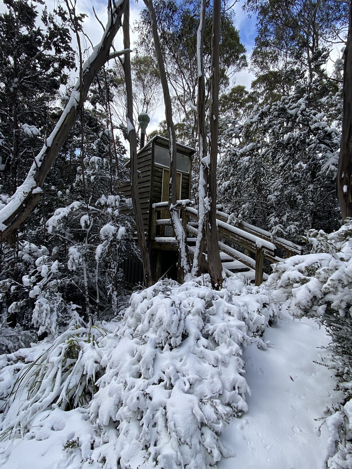 1, Hartz Mountains (Tasmania)