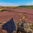 Higgar Tor this way