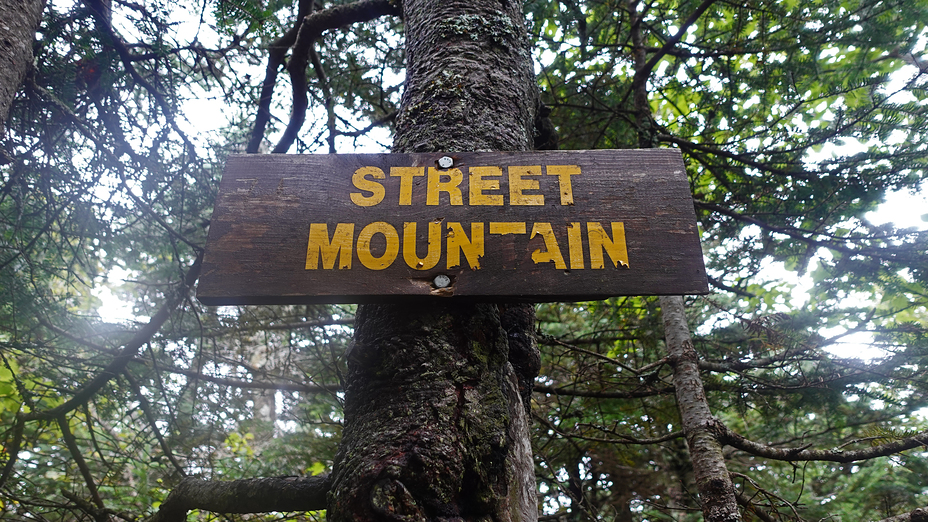 street sign, Street Mountain (New York)