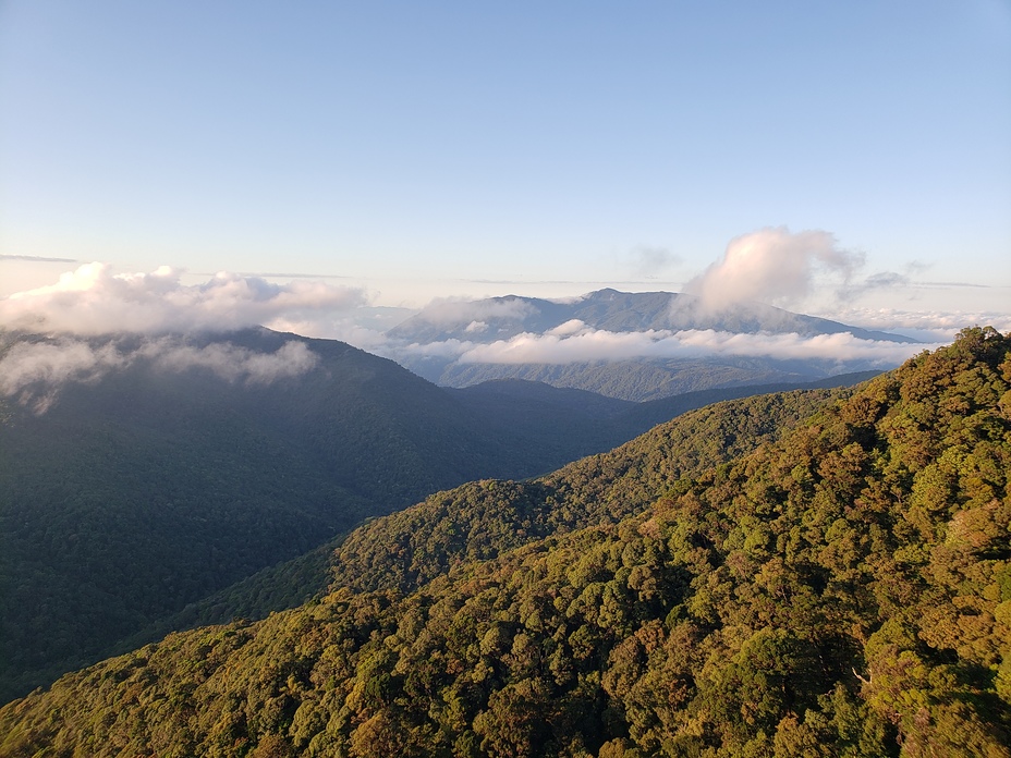 Mount Bartle Frere, Mount Bellenden Ker