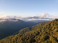 Mount Bartle Frere, Mount Bellenden Ker photo