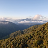 Mount Bartle Frere, Mount Bellenden Ker