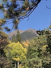 FALL, Mount Humphreys photo