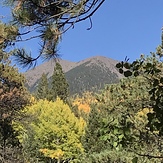 FALL, Mount Humphreys