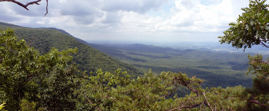 Holston Mountain weather