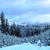 Jones Creek & Top of the World, Larch Mountain (Clark County, Washington)