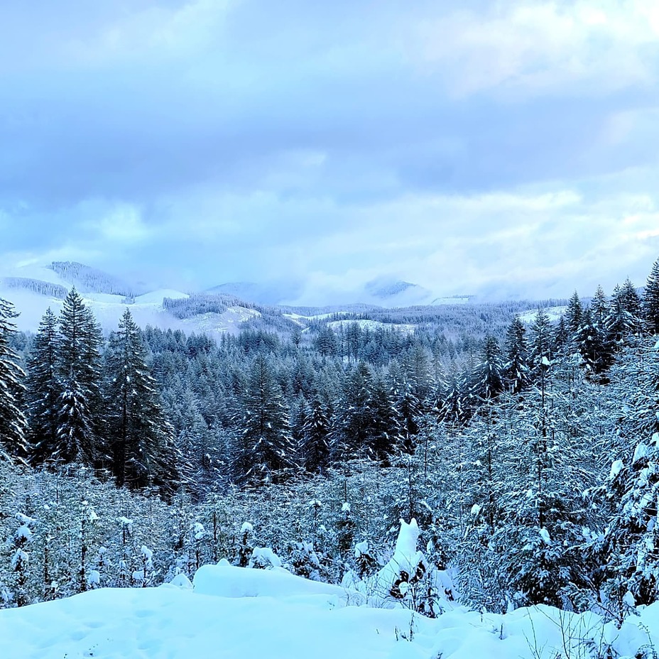 Jones Creek & Top of the World, Larch Mountain (Clark County, Washington)