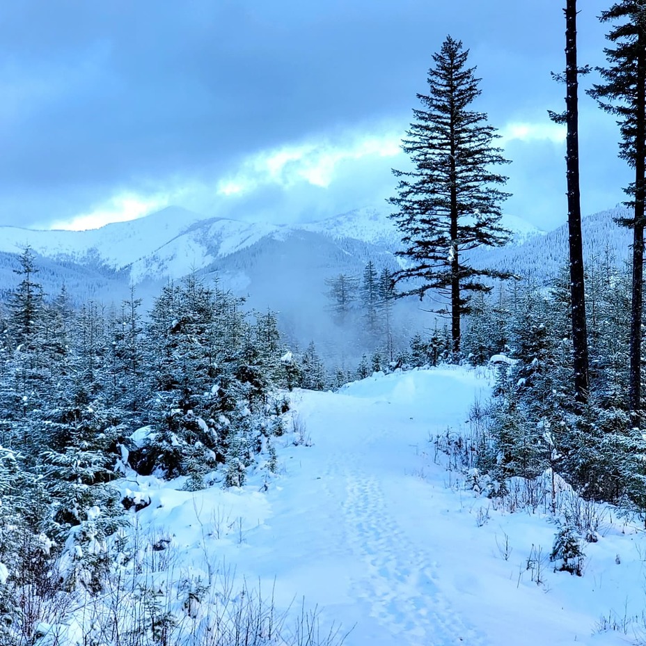 Jones Creek & Top of the World, Larch Mountain (Clark County, Washington)