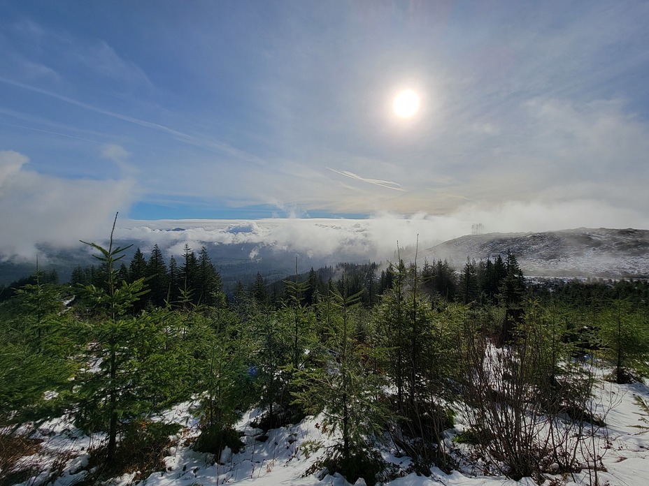Larch Mountain (Clark County, Washington) weather