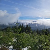 Jones Creek & Top of the World, Larch Mountain (Clark County, Washington)