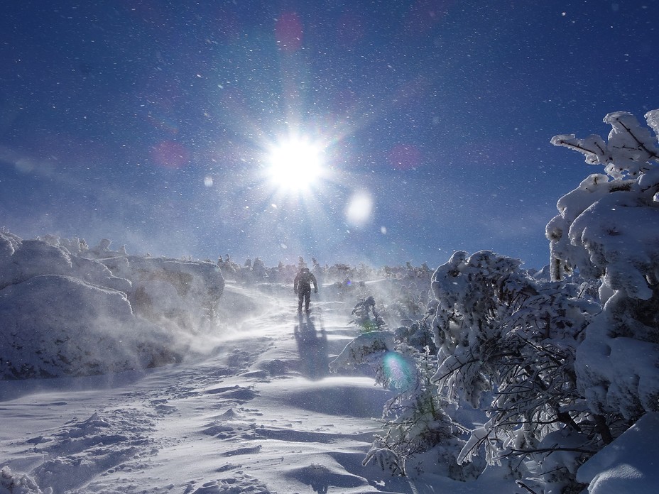 Summiting Algonquin Peak 2-15-20