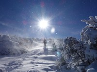 Summiting Algonquin Peak 2-15-20 photo