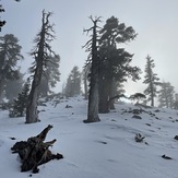 View of the Summit, Anderson Peak (San Bernardino Mountains)