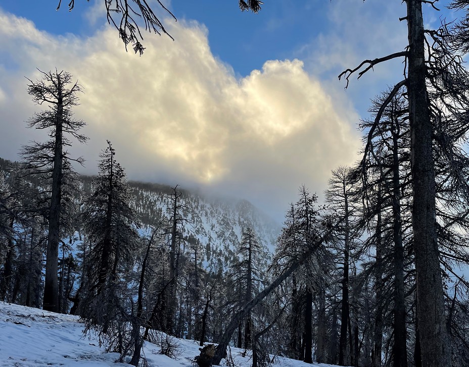 San Bernardino Sunset, Anderson Peak (San Bernardino Mountains)