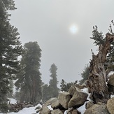 View from the Top, Anderson Peak (San Bernardino Mountains)