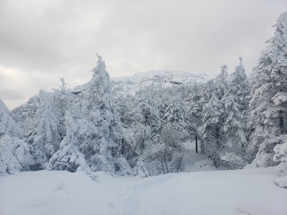 Winters back, Mount Monadnock