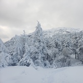 Winters back, Mount Monadnock