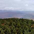 View from the fire tower 