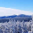 Śnieżnik z Czernicy