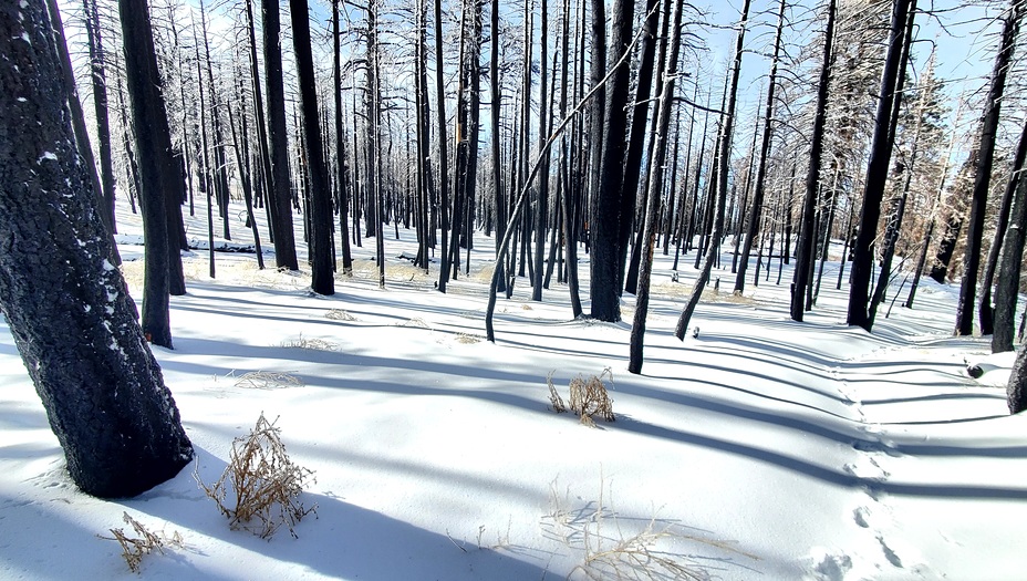 January 2, 23 West of San Bernardino pk, Anderson Peak (San Bernardino Mountains)