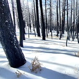 January 2, 23 West of San Bernardino pk, Anderson Peak (San Bernardino Mountains)