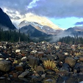 My Rainier in a puddle. White River.., Mount Rainier