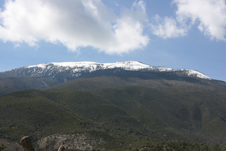 El Potosi weather