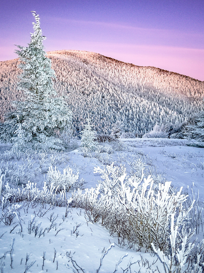 January on The Roan, Roan High Knob